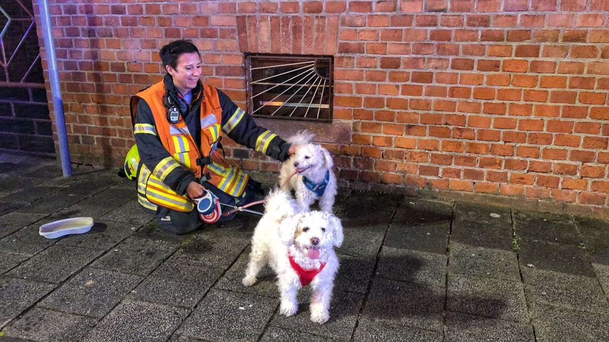 Feuer, Menschenleben in Gefahr