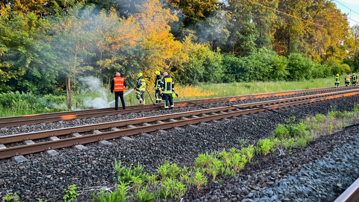 Flächenbrand