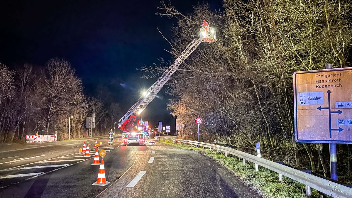 Baum auf Straße