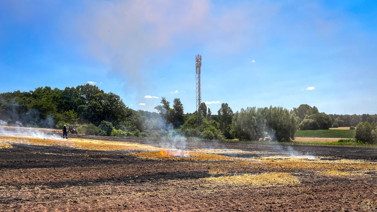 Flächenbrand