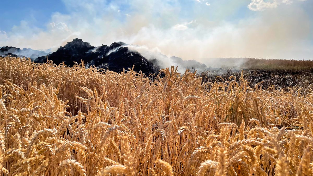 Flächenbrand