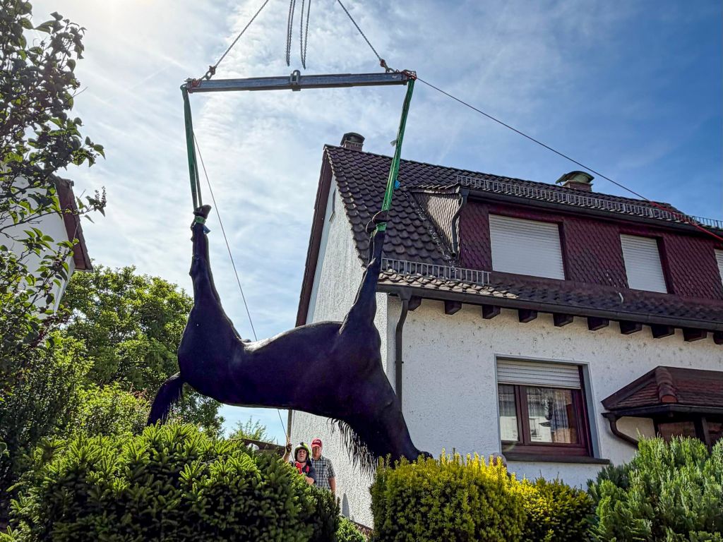2026-06-18 Tierrettung-2