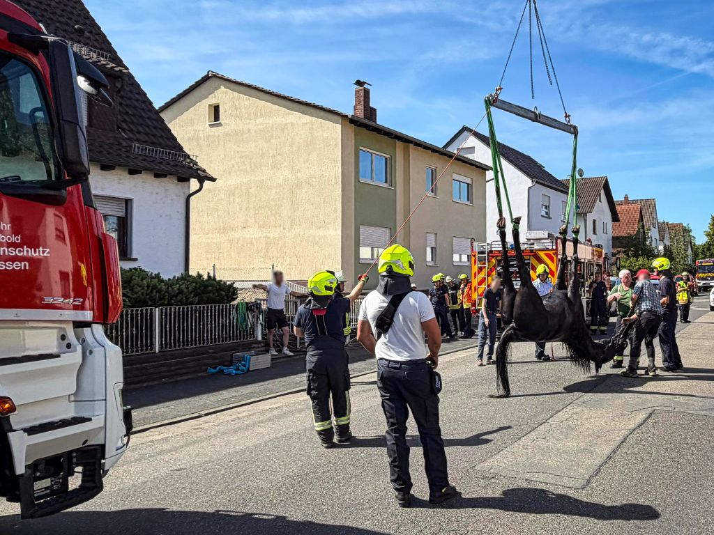 2026-06-18 Tierrettung-3