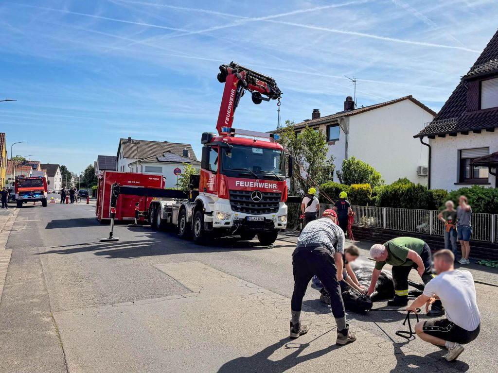 2026-06-18 Tierrettung-4