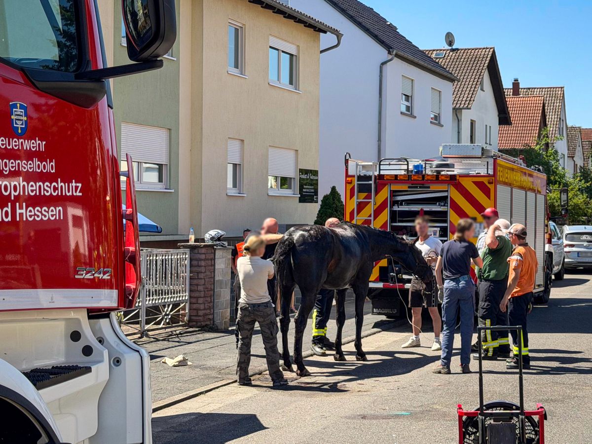 2026-06-18 Tierrettung-5