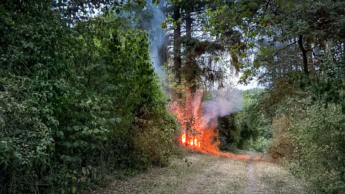 Flächenbrand