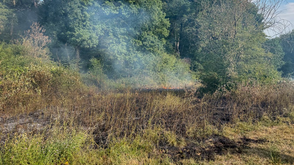 Flächenbrand
