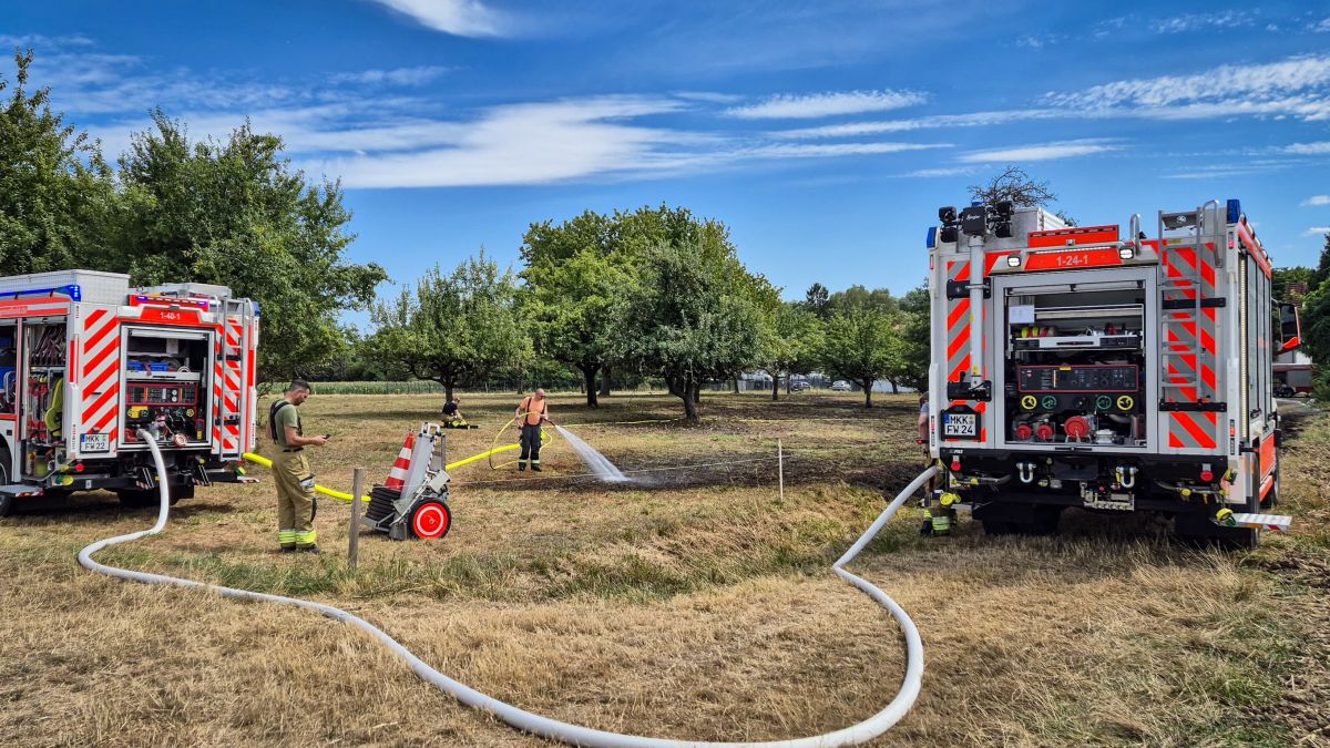 2026-08-06 Flächenbrand Neuberg-2