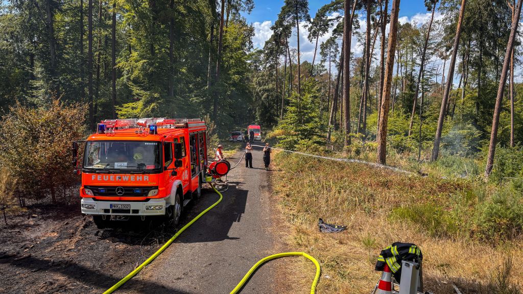 Ausgedehnter Waldbrand