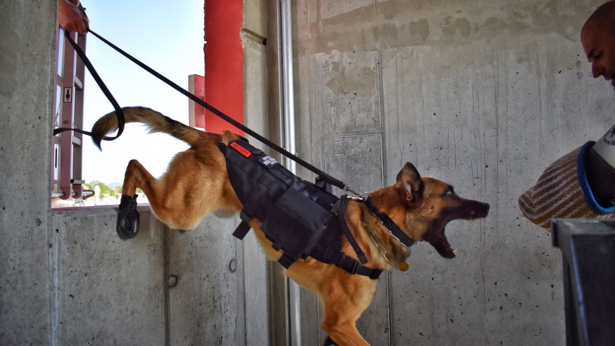 2018-05-04_Header_Polizeihundeausbildung