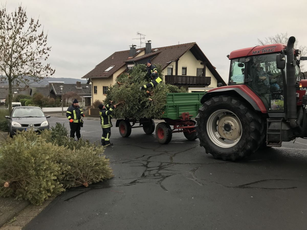 Christbaumsammlung 2019-1