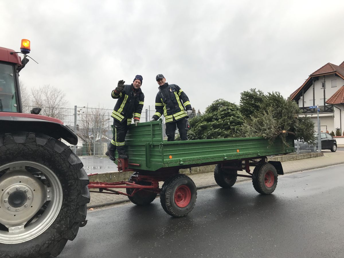 Christbaumsammlung 2019-2